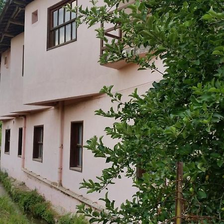Elmas Pansiyon Karacasu  Ngoại thất bức ảnh