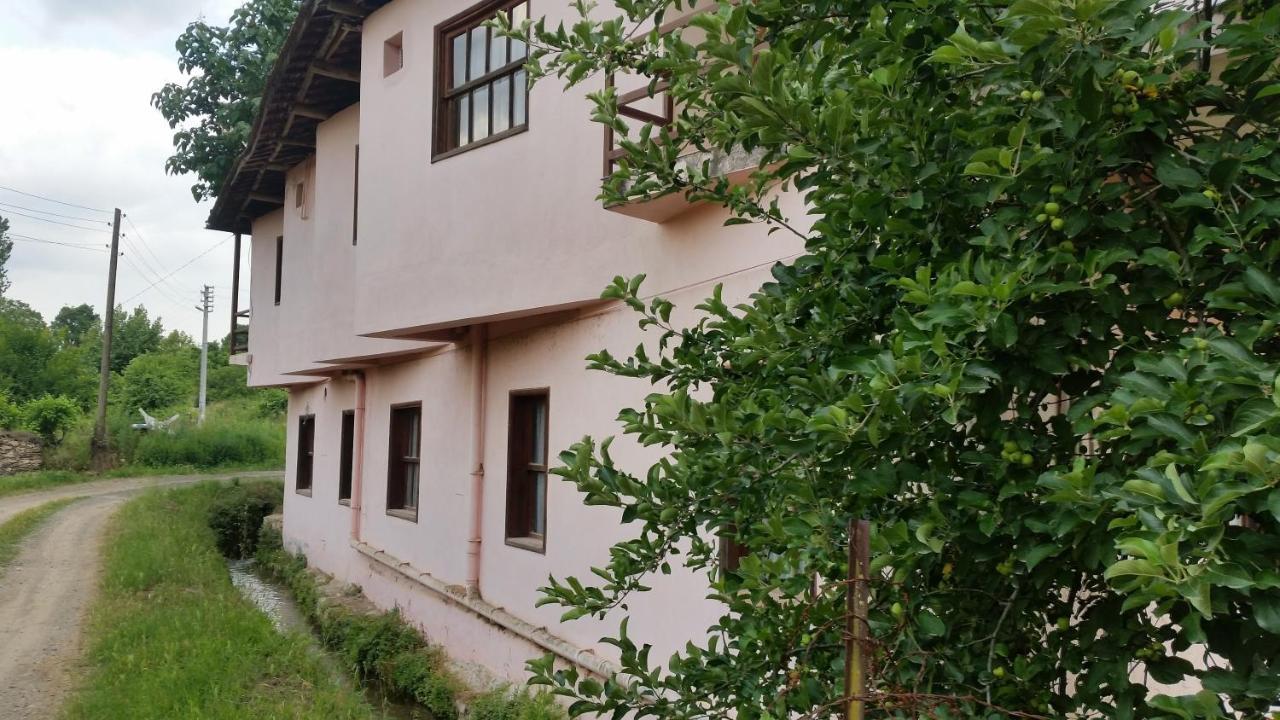 Elmas Pansiyon Karacasu  Ngoại thất bức ảnh
